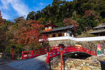 Obraz premium 紅葉