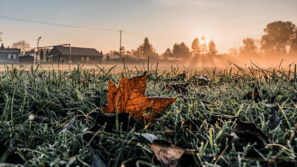 boisko do piłki nożnej na wsi, wczesny jesienny poranek ze wschodzącym słońcem i mgłą,...