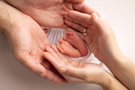 Legs, toes, feet and heels of a newborn. With the hands of parents, father, mother gently holds the child's legs. Macro photography, close-up. Black and white photo. High quality photo. 