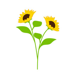 Flat Sunflower Illustration