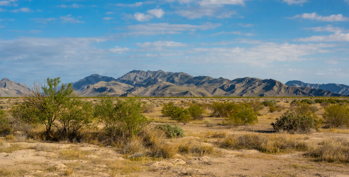 Drive thru the dry valley Coahuila, Mexico
