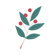 Christmas plant, decorative branch with leaves, light red berries for home decor, festive holiday arrangement, vector illustration for seasonal greeting card, invitation, banner