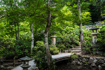 広島 宮島の山中にある神社の美しい参道