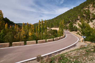 a well-trodden road in the autumn forest