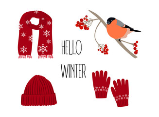 Set of Winter elements isolated on white background. Hello winter with scarf, glove, hat, Mistletoe and Bullfinches. collection winter elements. vector illustration eps10
