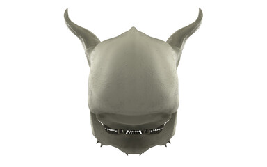 Demon skull with fangs and closed mouth on white background