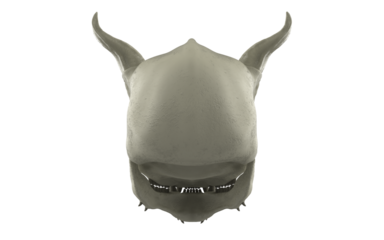 Demon skull with fangs and closed mouth on white background