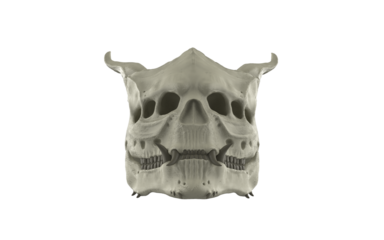 Demon skull with fangs and closed mouth on white background
