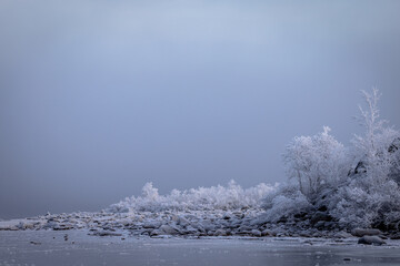 Foggy days in the lake shore