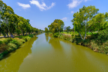 Yarkon river, and trees, in the Yarkon Park