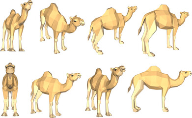 African Desert Camel vector design with white background