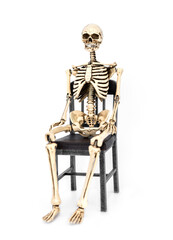 Human Skeleton sitting on a old chair isolated on white background.
