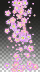 Vector Realistic Pink Flowers Falling on Transparent Background.  Spring Romantic Flowers Illustration. Flying Petals. Sakura Spa Design. Blossom Confetti. Design Elements for Wedding Decoration.