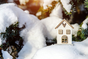 symbol of the house stands on a snow-covered fir branches
