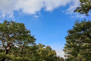 Obraz premium 京都御苑