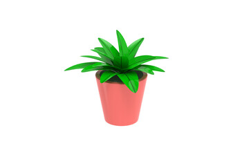 plant in a pot
