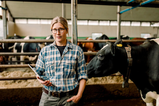 Female farmer with tablet PC standing by cow at cattle farm