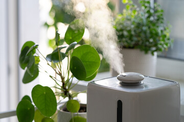 Steam from electric humidifier, moistens dry air surrounded by indoor houseplants during the...