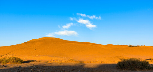 sand dunes in the desert