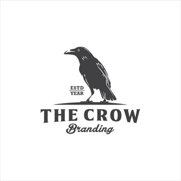 Crow Logo Design Stock Vector Image