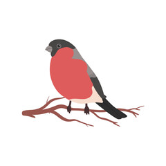 Bullfinch bird on a branch isolated on white background. Small cute bullfinch bird vector illustration