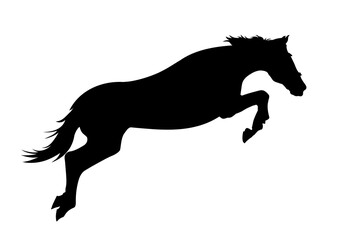 Fototapeta na wymiar Graphics design silhouette horse high jump isolated white background vector illustration