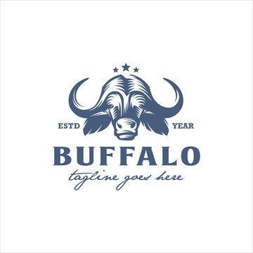 Buffalo Logo Design Stock Vector Image