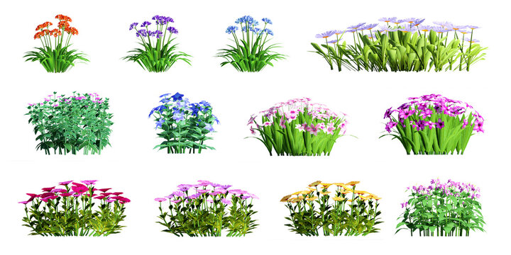 Collection of 3D flowers Trees Isolated on PNGs transparent background , Use for visualization in architectural design	
