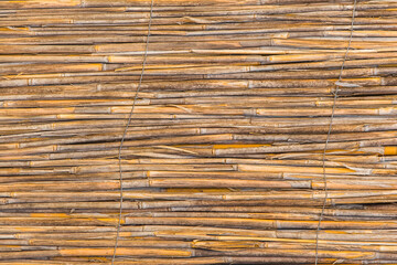 Light yellow reed interior pattern bamboo handmade wall wicker texture rattan background
