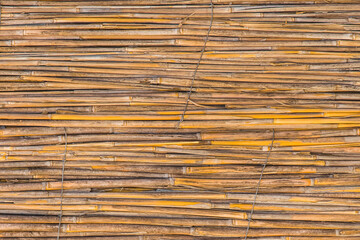 Light yellow reed interior pattern bamboo handmade wall wicker texture rattan background