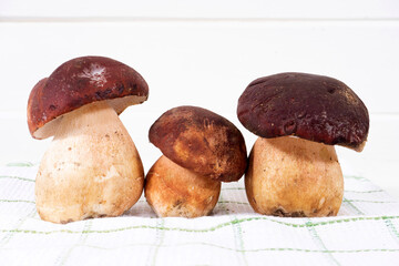 Introducing freshly picked whole porcini mushrooms
