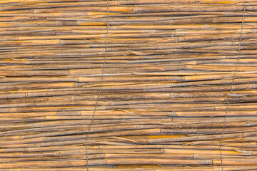 Light yellow reed interior pattern bamboo handmade wall wicker texture rattan background