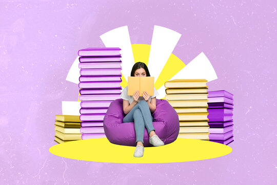 Composite Collage Image Of Girl Sitting Beanbag Read Book Cover Face Isolated On Creative Painted Background