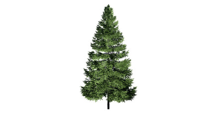 3D Christmas Trees Isolated on PNGs transparent background , Use for visualization in architectural design or garden decorate	
