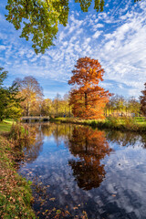 Fototapeta na wymiar The Sanssouci Park view in Potsdam of Germany 