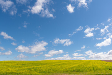 北海道　美瑛　パッチワークの丘
