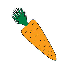 The image of a carrot. Repeated carrot patterns. Texture with lots of carrots.