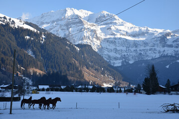 Vallée de Lenk en hiver. Suisse