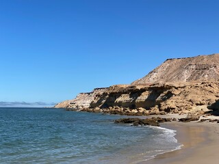 Lovely cute Chickens in my farm 