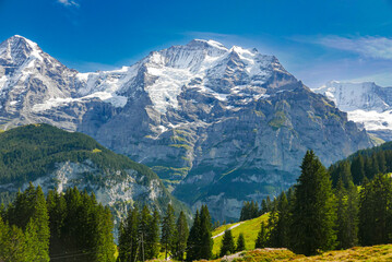 Swiss Alps Jungfrau - obrazy, fototapety, plakaty