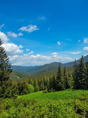 Fototapeta na wymiar The unique nature of the Ukrainian Carpathian mountains
