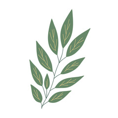 Christmas plant, decorative branch with leaves for home decor, festive holiday arrangement, vector illustration for seasonal greeting card, invitation, banner