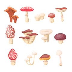 Cartoon Different Mushrooms Icons Set Concept Flat Design Style Include of Amanita and Chanterelle. Vector illustration of Mushroom Icon