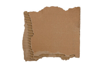 Textured cardboard with torn edges isolated on white