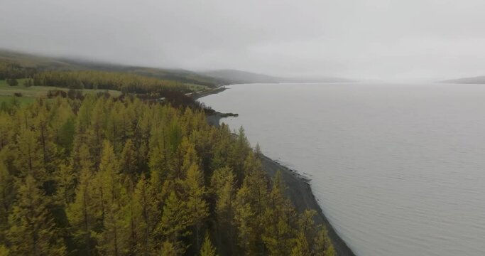 aerial view of Lagarflj&oacute;t river coastline with Hallormssta&eth;ur or Hallormssta&eth;askogur pine and spruces forest with low clouds and road next to coast