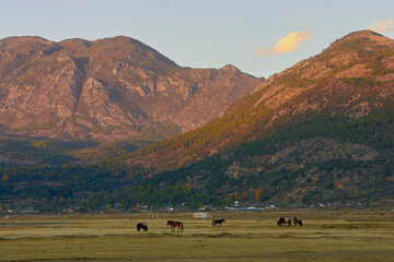 Obraz premium lijiang_02