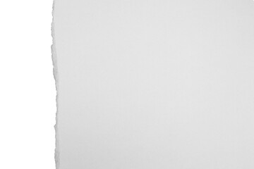 Obraz premium torn paper ripped corner texture page