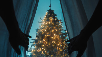 Unveiling The Illuminated Christmas Tree