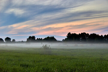 Epic colorful sunset sky and fog above the green plowed agricultural field, forest in the background. Rural scene.