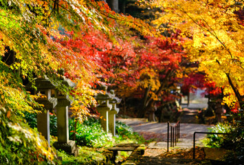 清水寺 紅葉